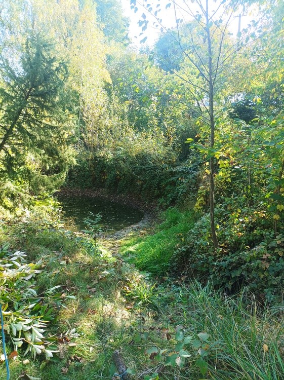 IMG 20231014 125736