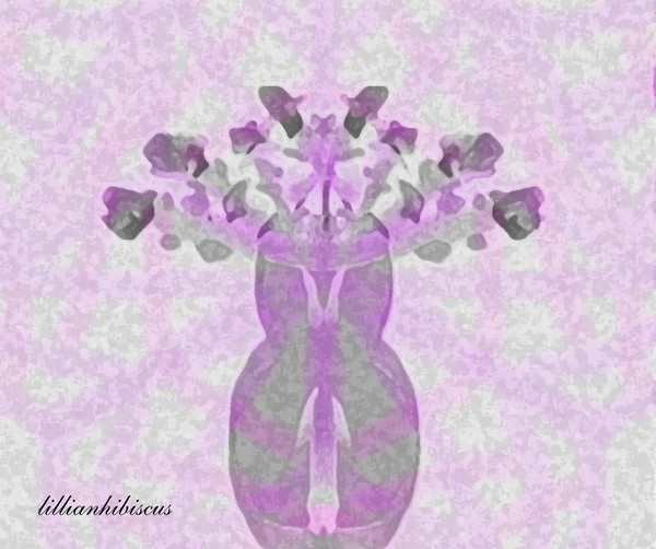 Violet Flowers