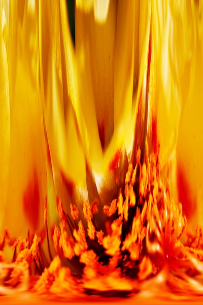 Floral Melt
