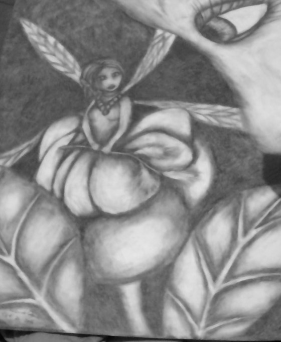fairy found