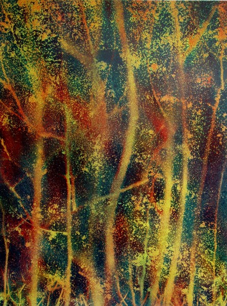 The woods