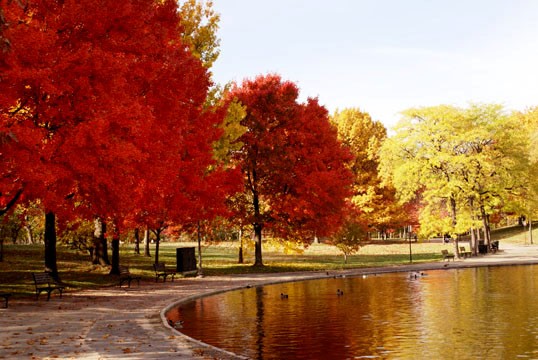 Fall Colors 3