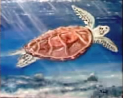 Sea Turtle