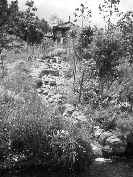 The garden of heaven