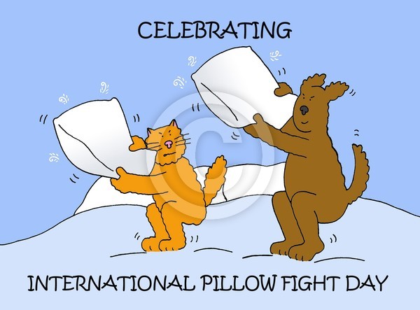 National Pillow Fight Day