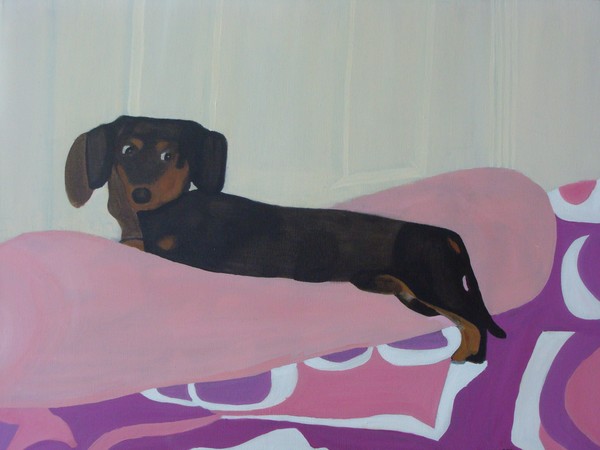 BooBoo on the bed