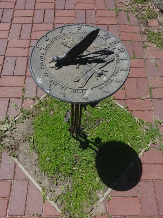 Dragonfly Sundial