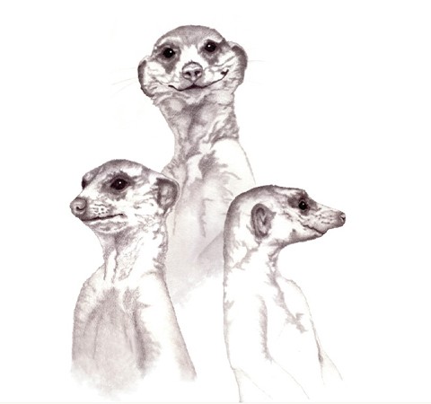 Larry, Moe and Curly