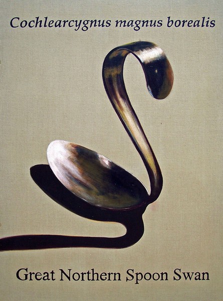 Great Northern Spoon Swan