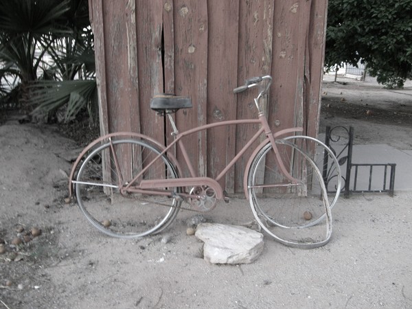 Beach Cruiser