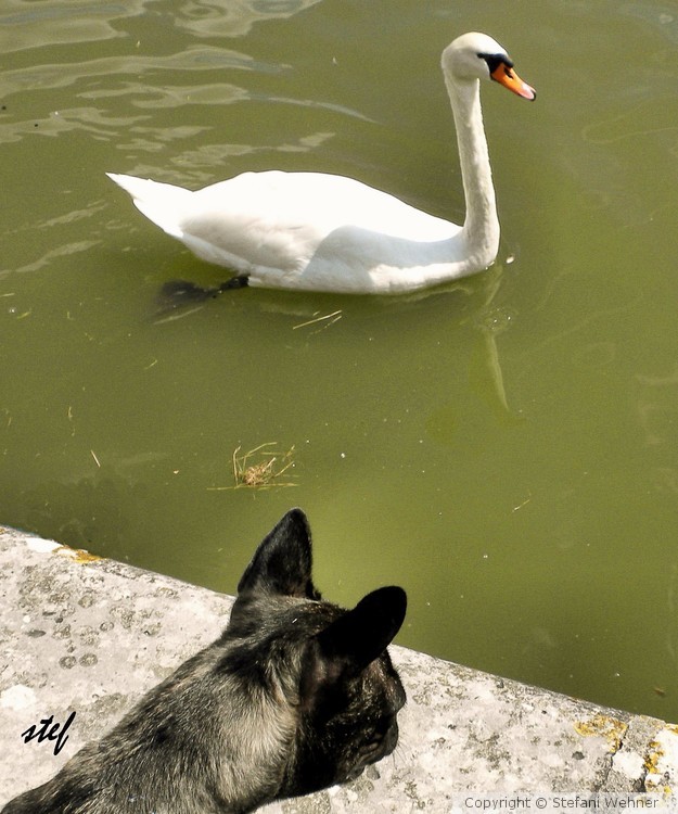 nice to meet you
