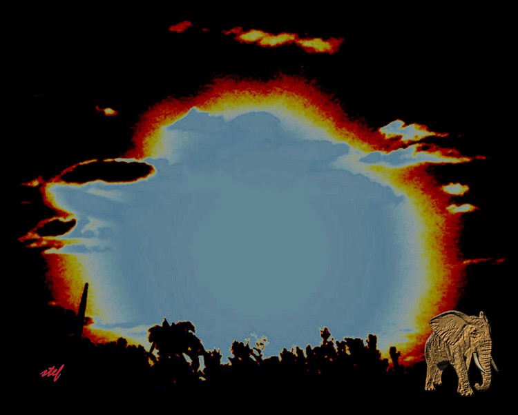 out of Africa