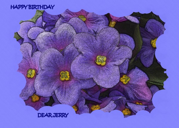 VIOLETS FOR JERRY!