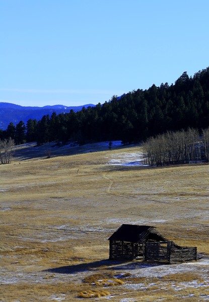 Old Cabin
