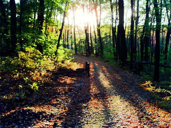 Long day on a short trail