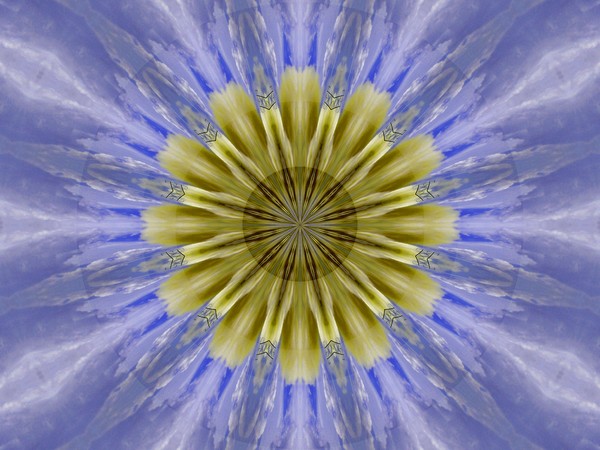 DESIGN 83