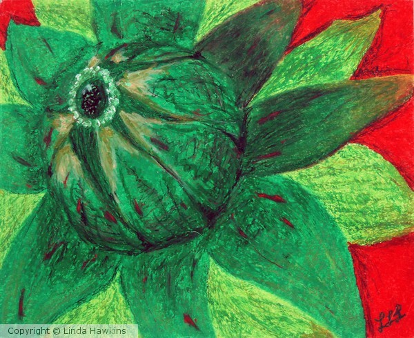 BUD