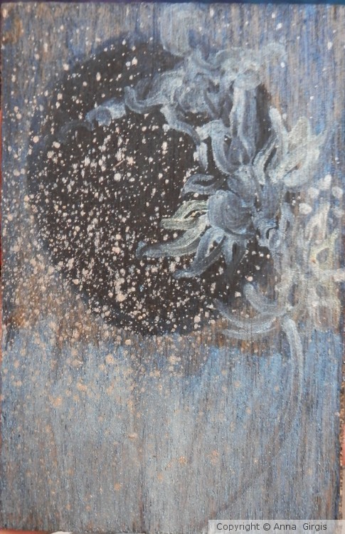 P3064338
