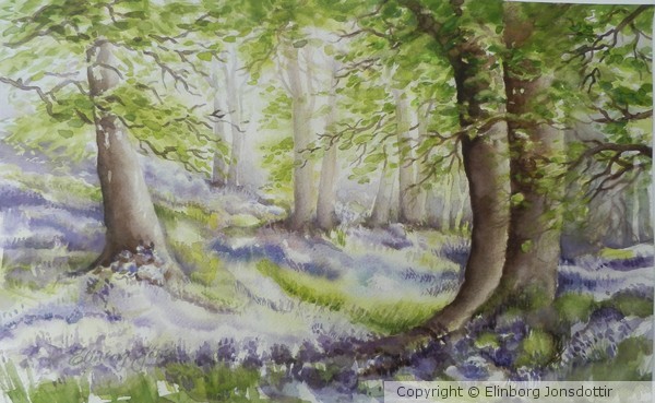 Blubell forest