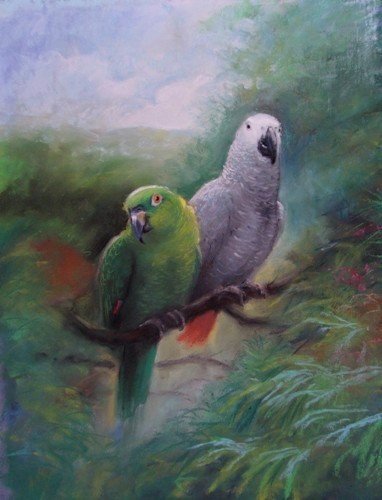 bird_pair