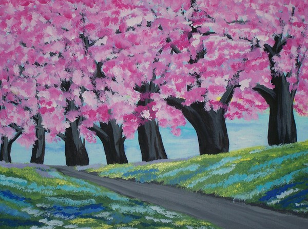 Cherry Blossoms trees