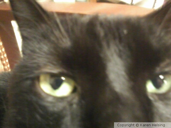 Cateyes