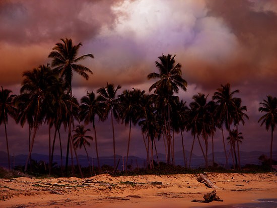 Dominican Beach