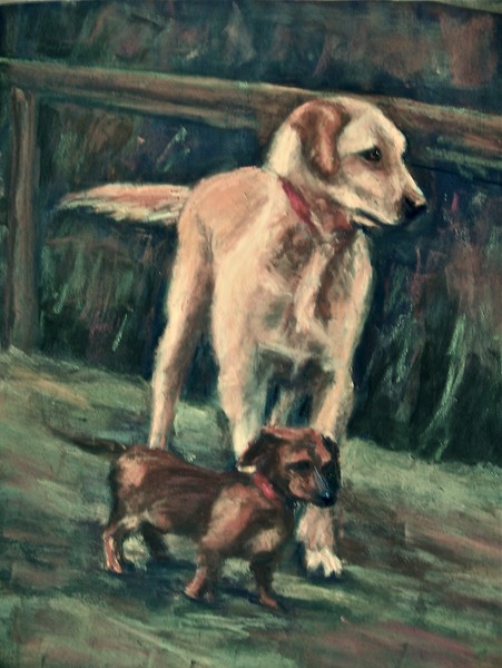 Daisy and Rocky
