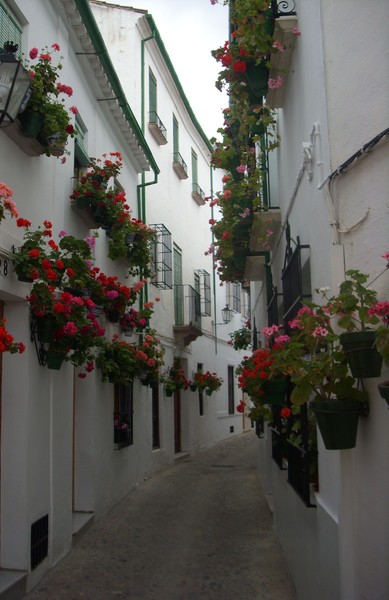 Priego