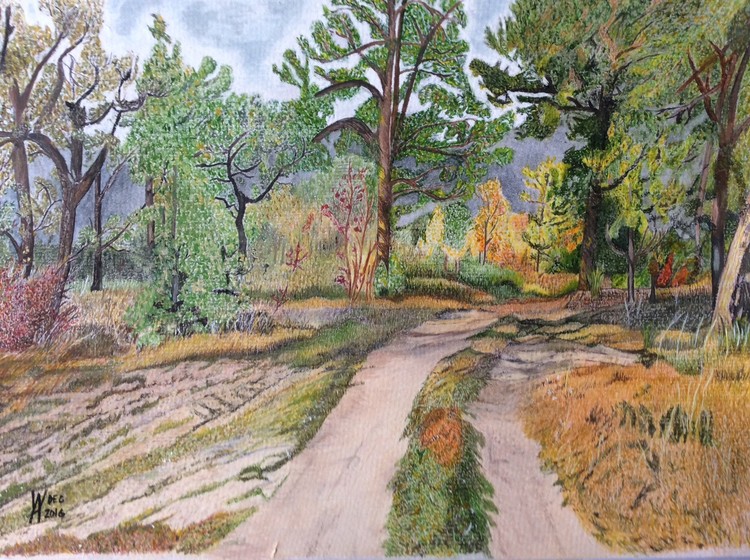 Just another landscape 
