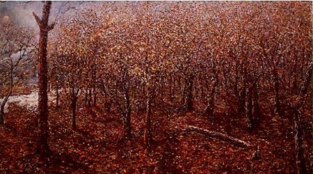Kojori forest, Georgia