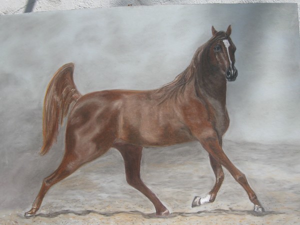 JOAQUIN