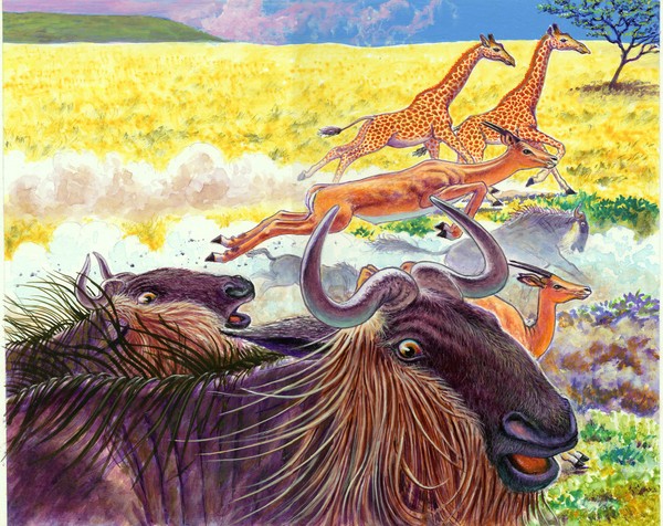 spooked african plains animals