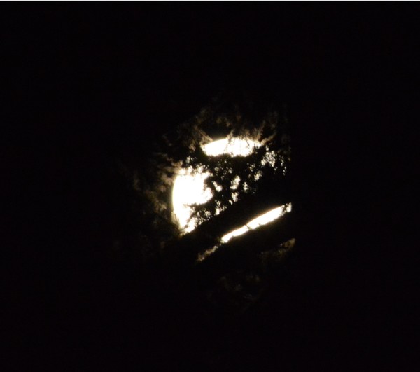 SuperMoon 7.12.2014