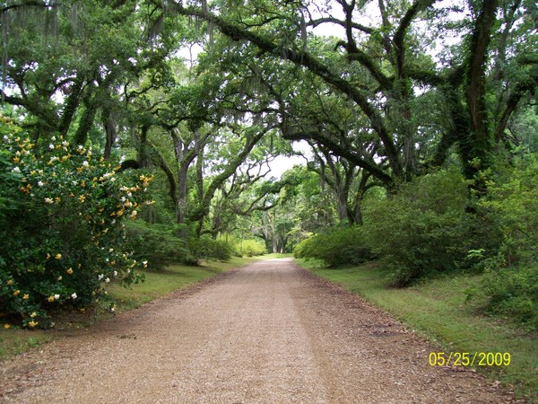 Southern Entrances