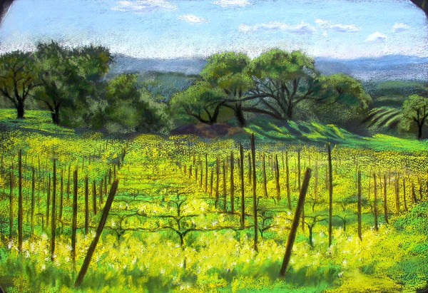 Mustard at Paradise Ridge