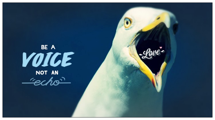 Voice