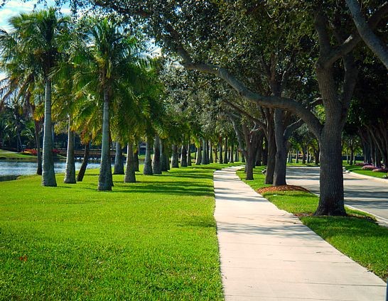 Taking A Walk