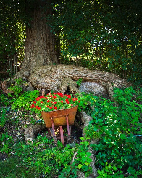 Wheelbarrow of Flowers