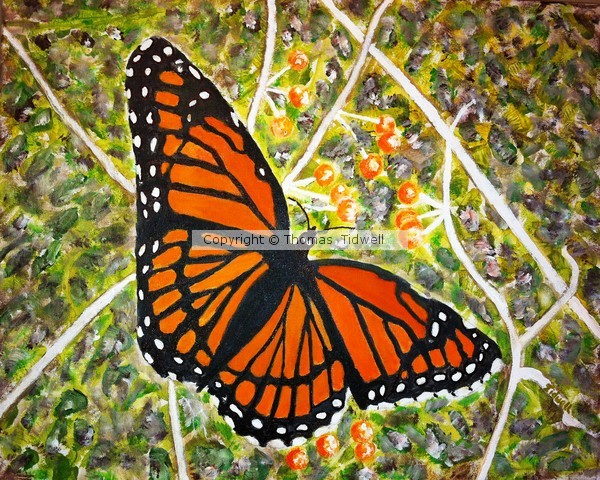 Butterfly Print 16x20