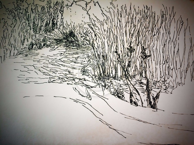 Contemplation, lost nature