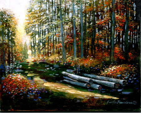 Country Trail