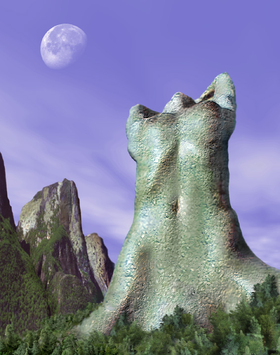 Torso
