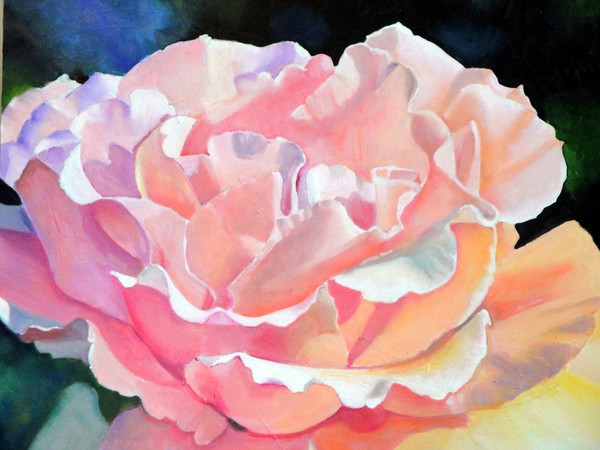 Salmon Rose