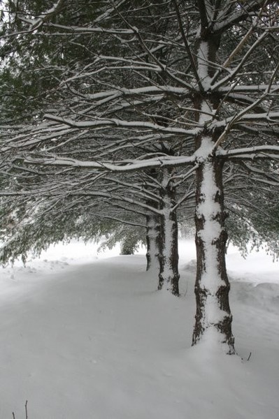 untouched