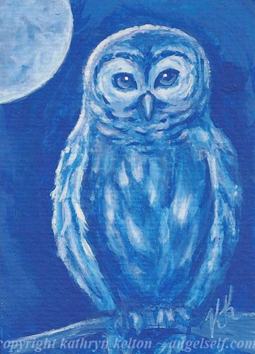 Blue Owl ACEO