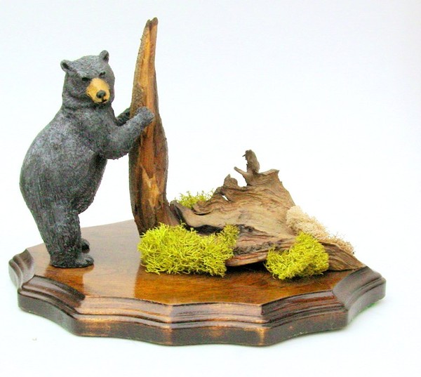 Black bear