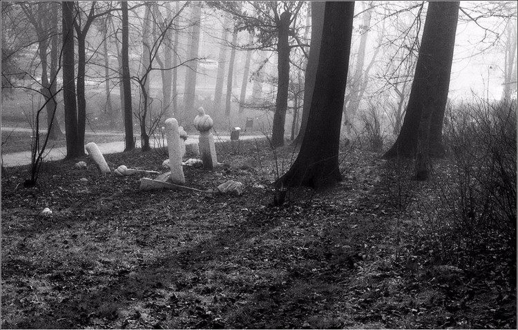 Tombstones in Forest 3S A