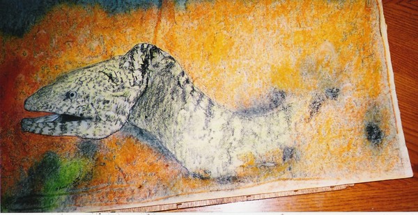 Cold water Eel of Japan