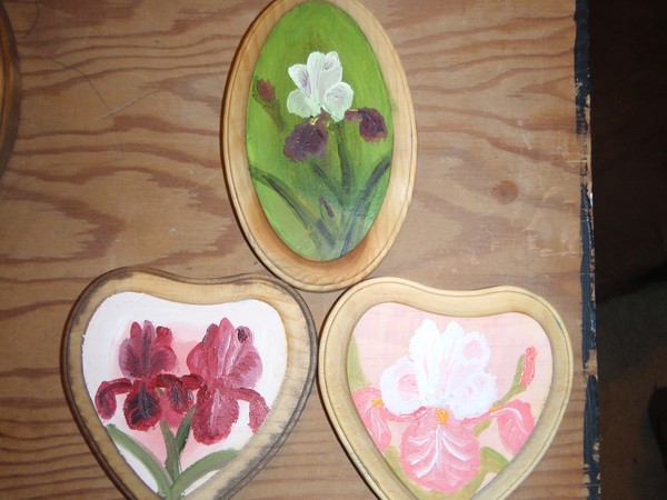 Iris Magnets